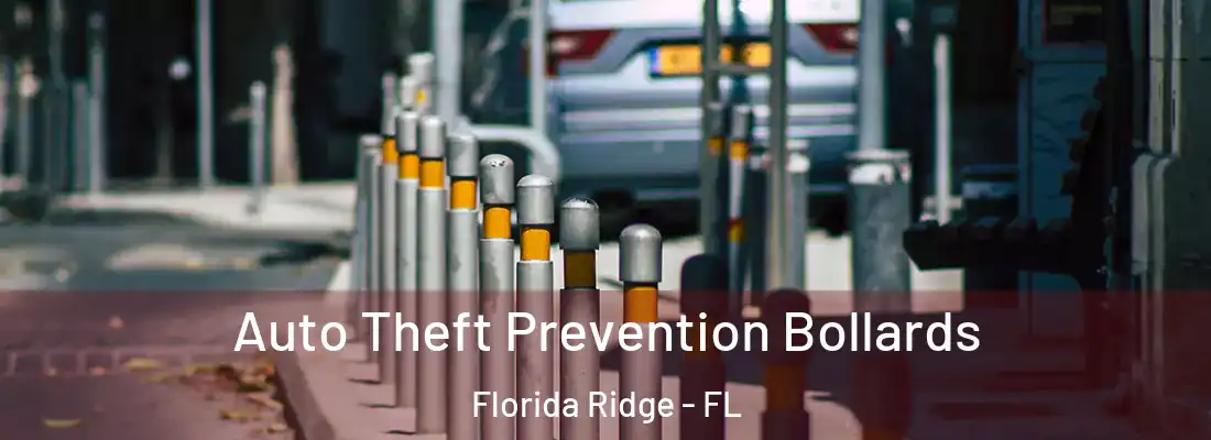  Auto Theft Prevention Bollards Florida Ridge - FL